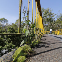 Puente peatonal de la Avenida Kevin Ángel con peligros para cruzarlo 
